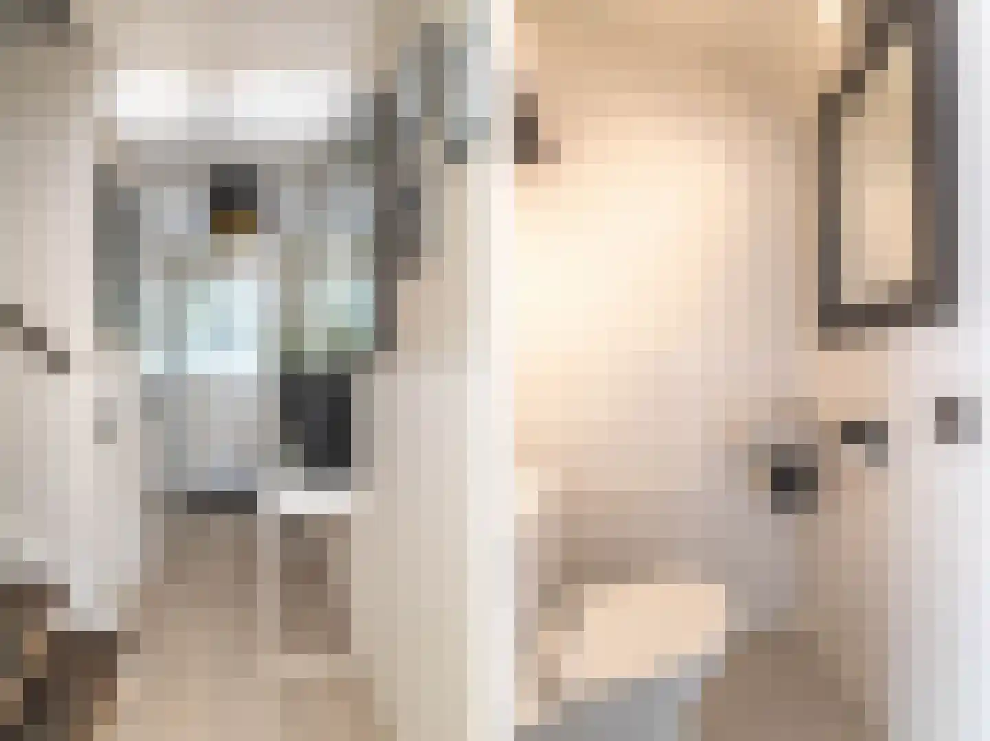 Vroegeling 65 Heemskerk thumbnail 7