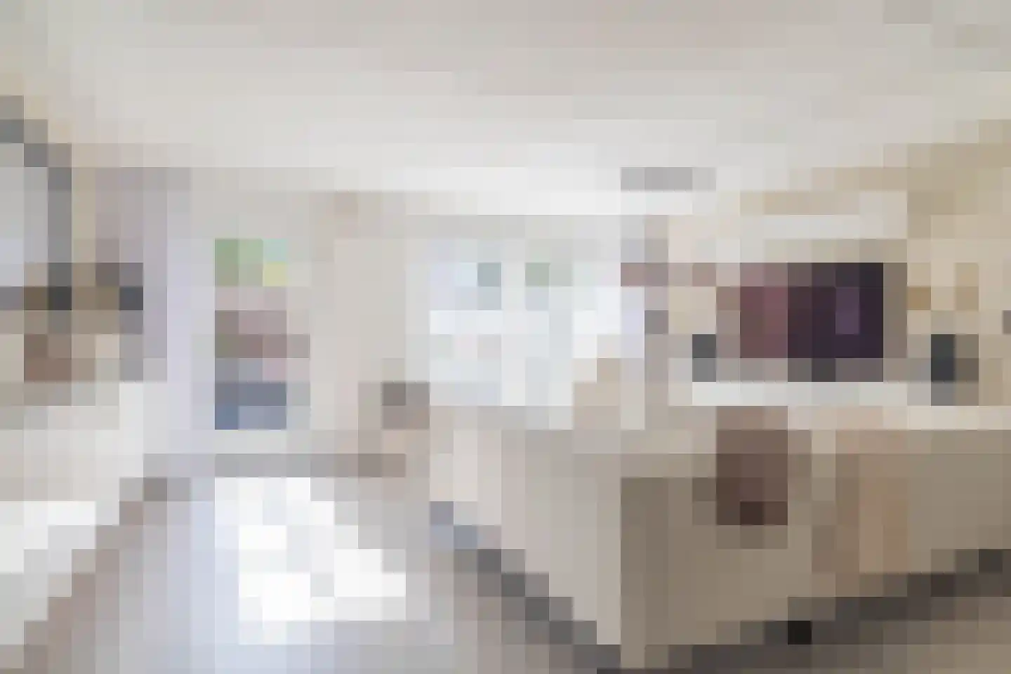 Vroegeling 65 Heemskerk thumbnail 8