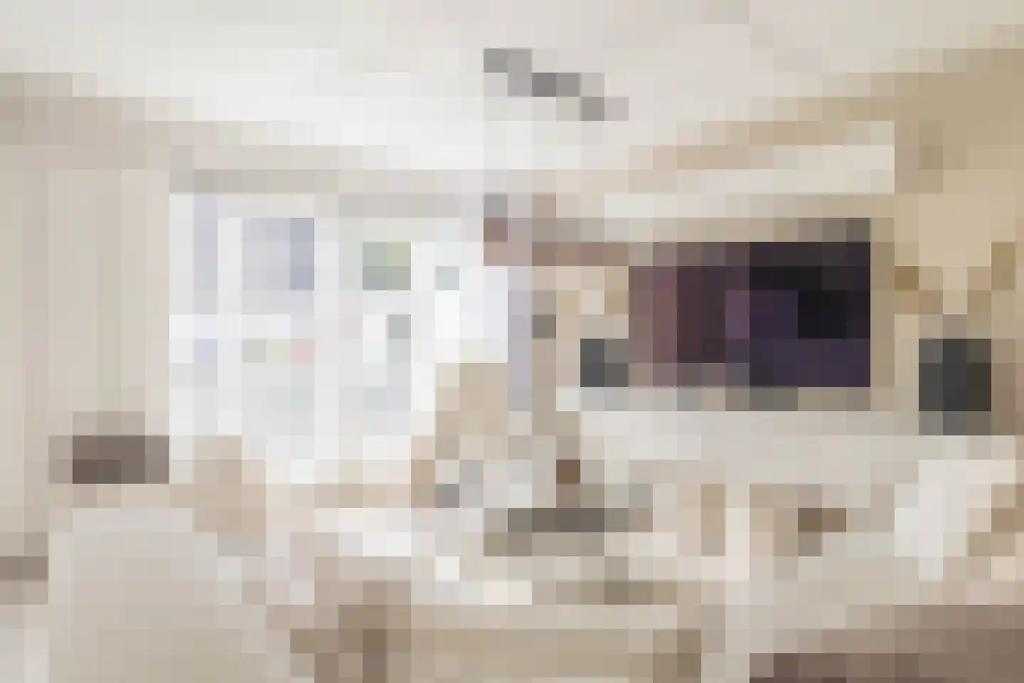 Vroegeling 65 Heemskerk thumbnail 9