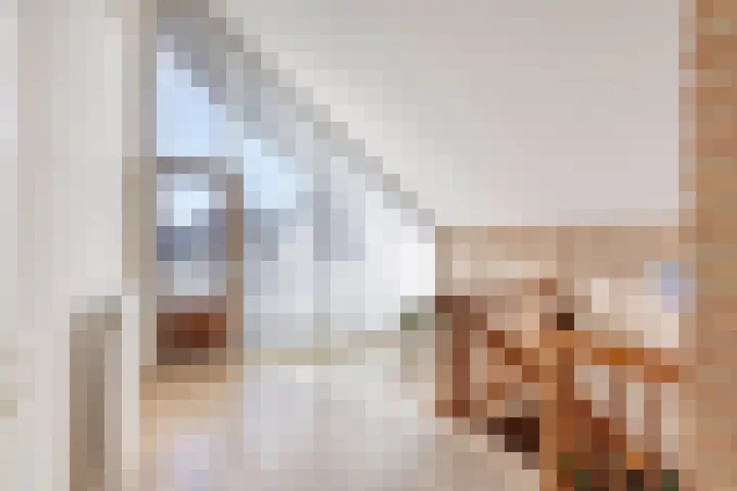Vroegeling 8 Heemskerk thumbnail 11