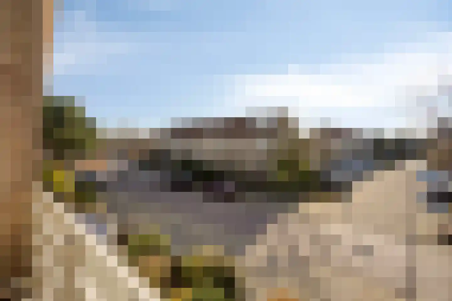 Vroegeling 8 Heemskerk thumbnail 18