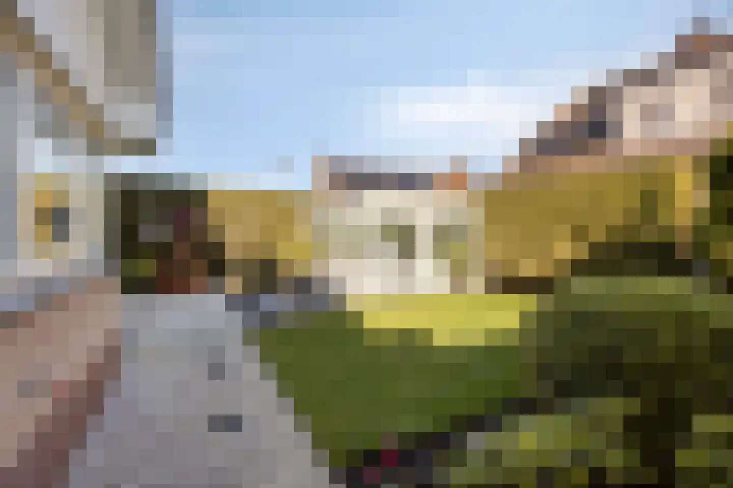Vroegeling 8 Heemskerk thumbnail 21