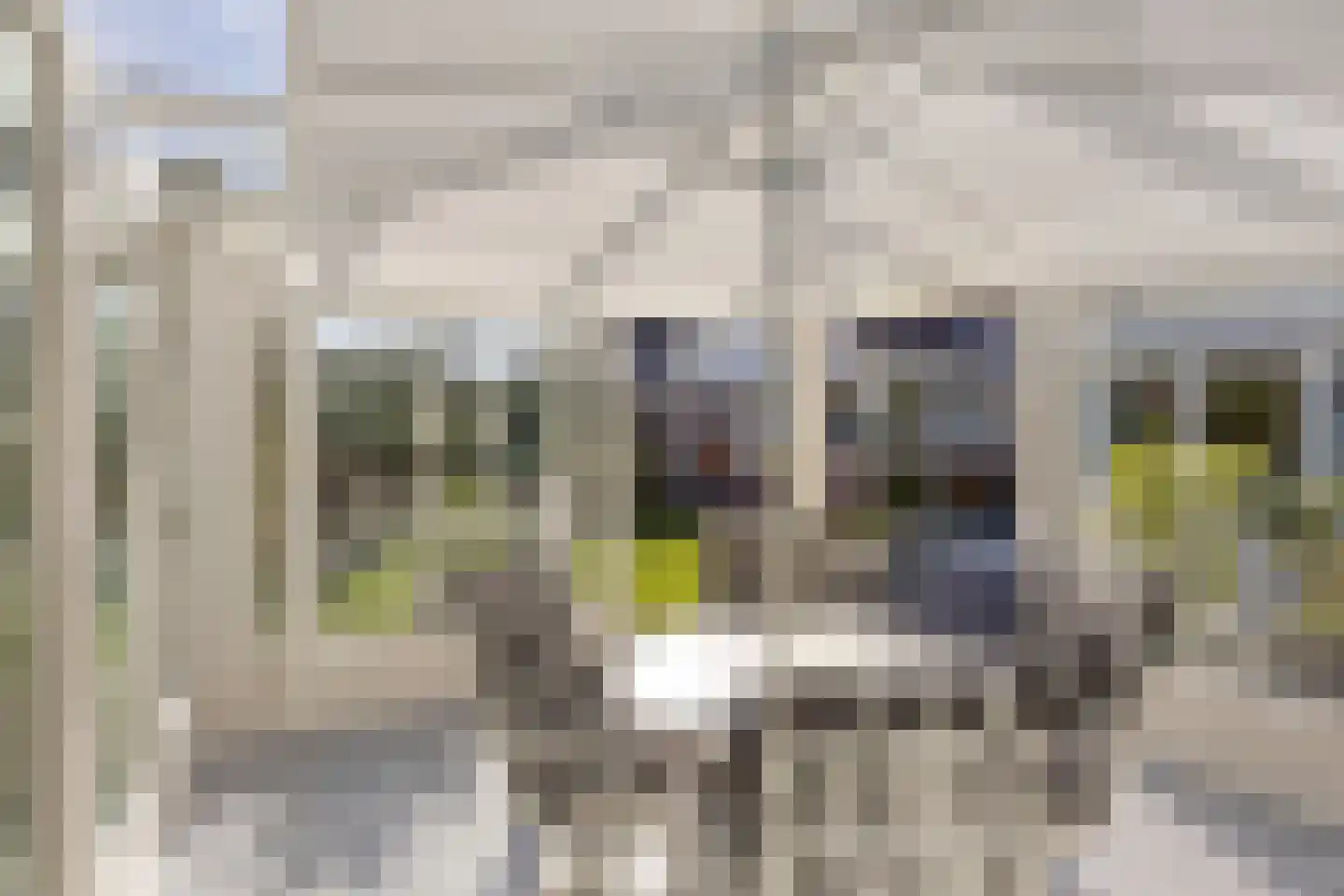Vroegeling 8 Heemskerk thumbnail 23