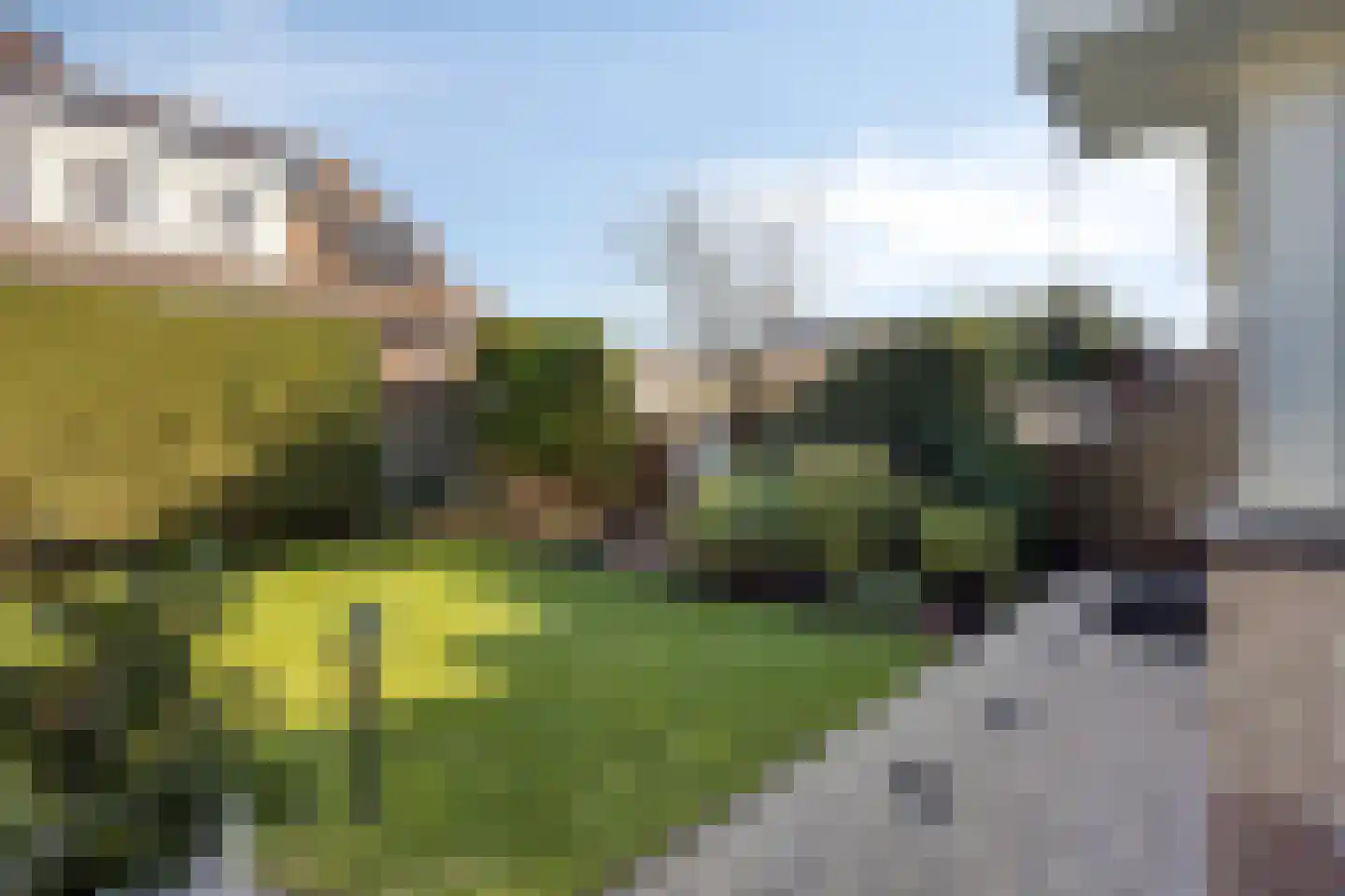 Vroegeling 8 Heemskerk thumbnail 24