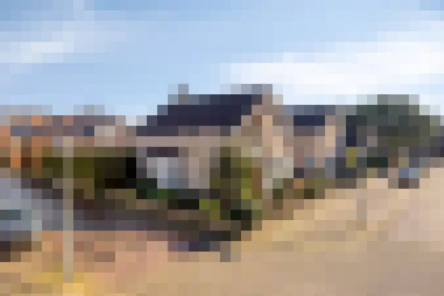 Vroegeling 8 Heemskerk thumbnail 28