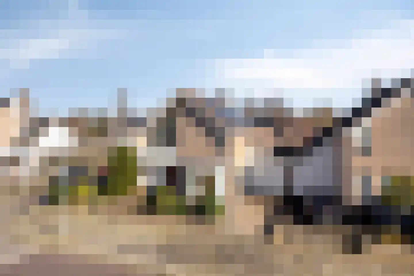 Vroegeling 8 Heemskerk thumbnail 29