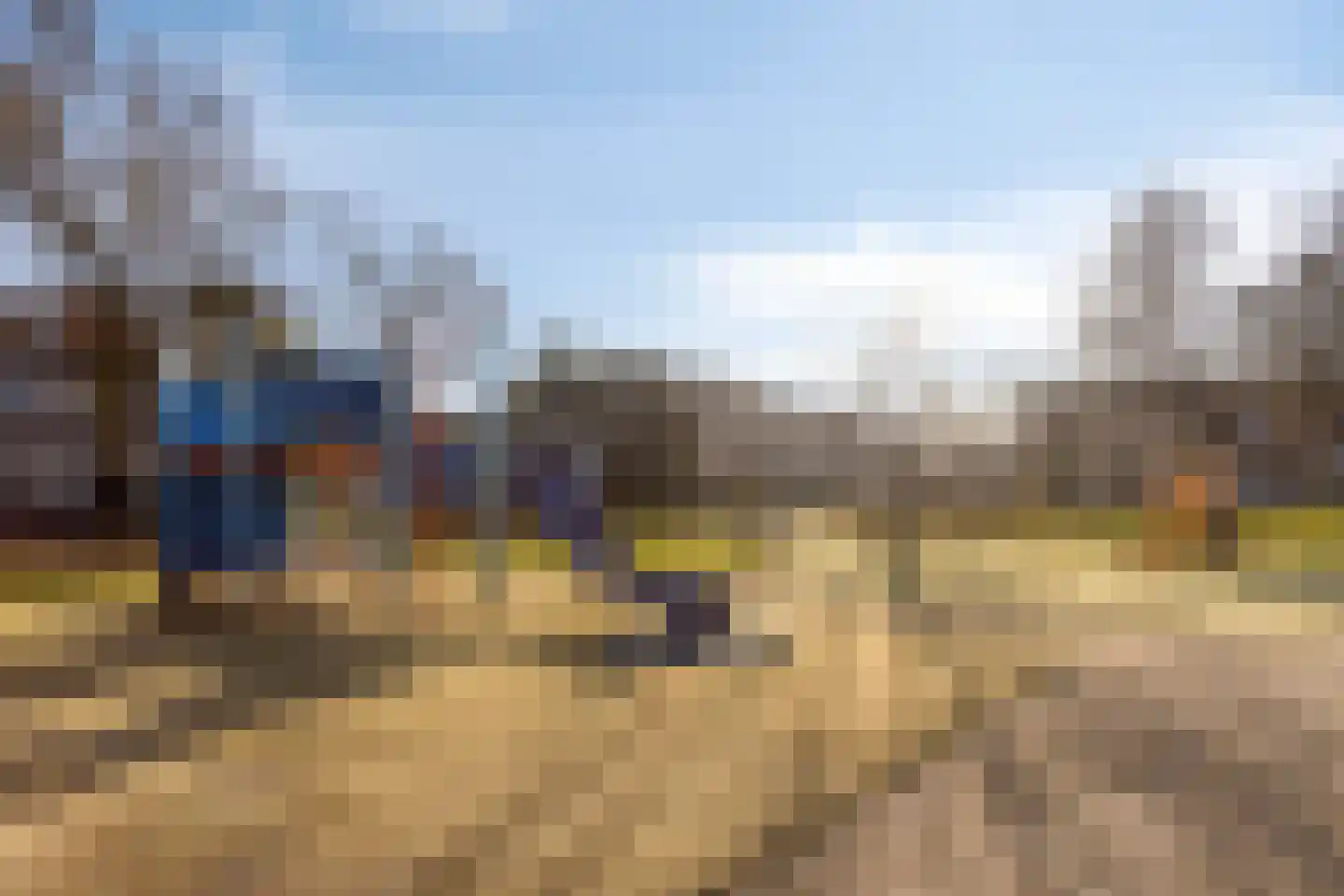Vroegeling 8 Heemskerk thumbnail 30