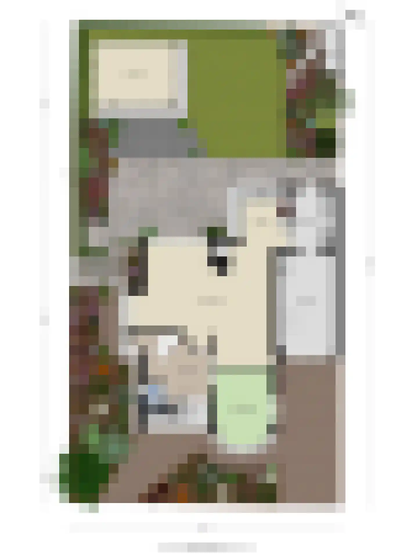 Vroegeling 8 Heemskerk thumbnail 32