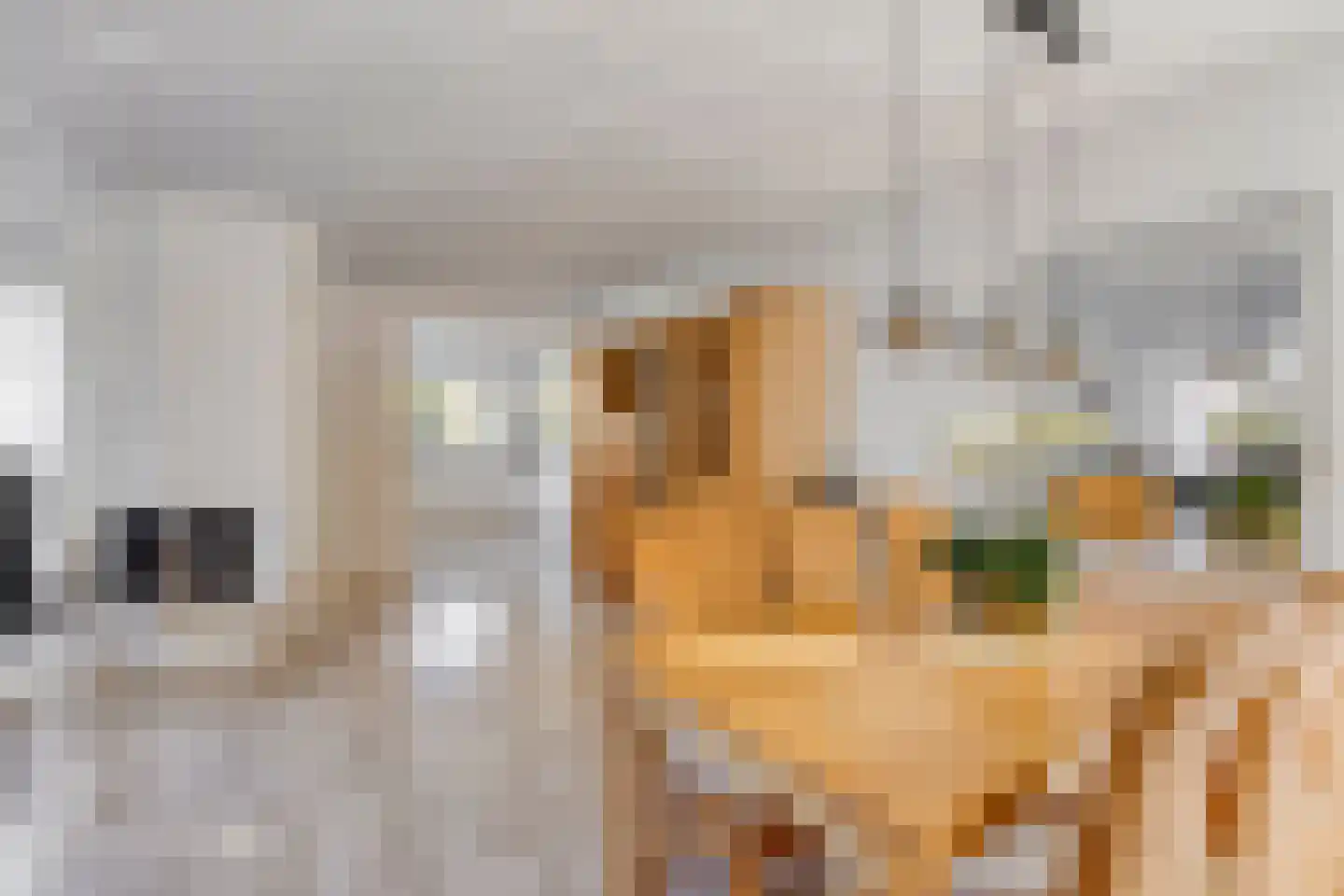 Vroegeling 8 Heemskerk thumbnail 5