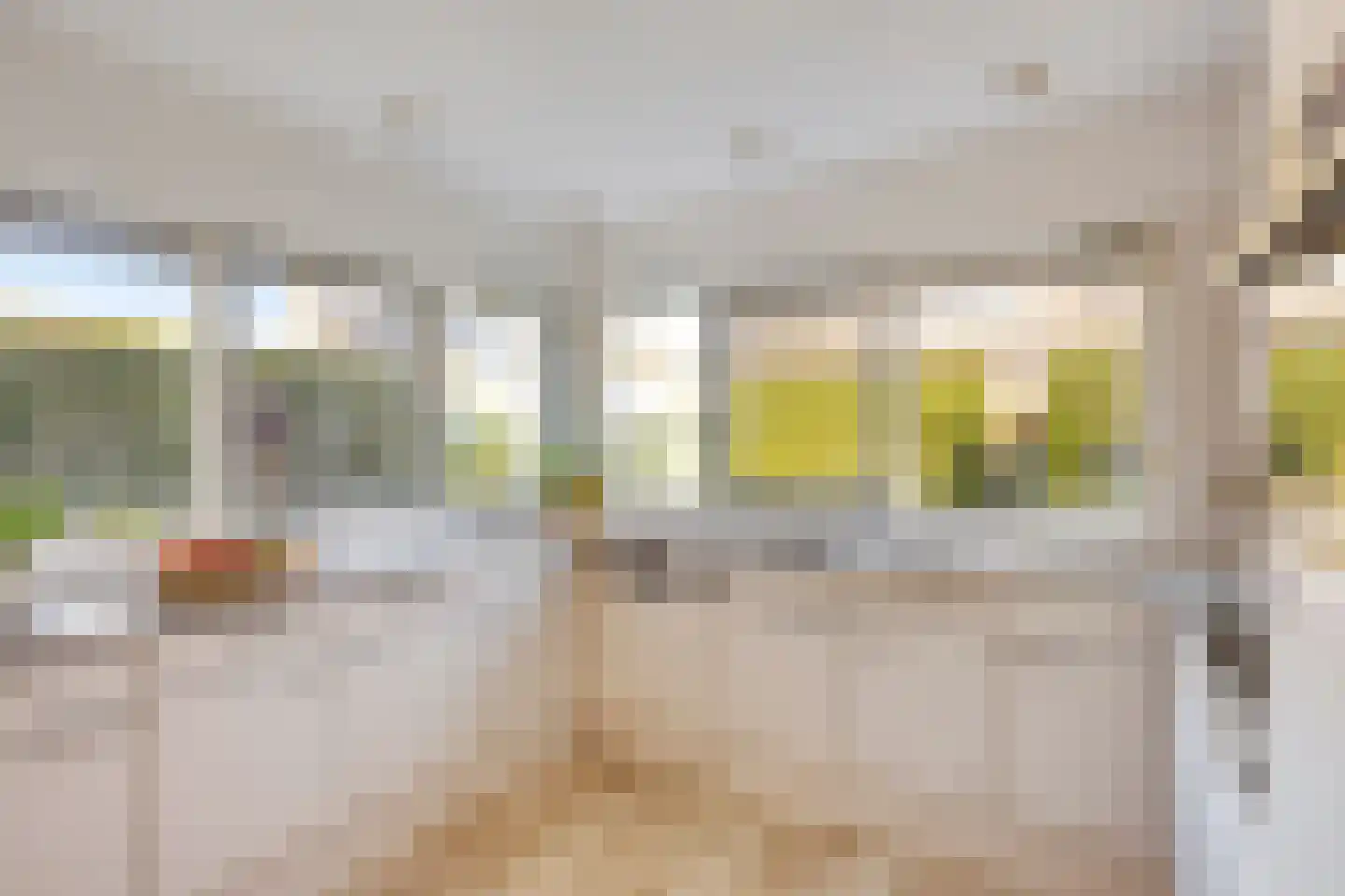 Vroegeling 8 Heemskerk thumbnail 6