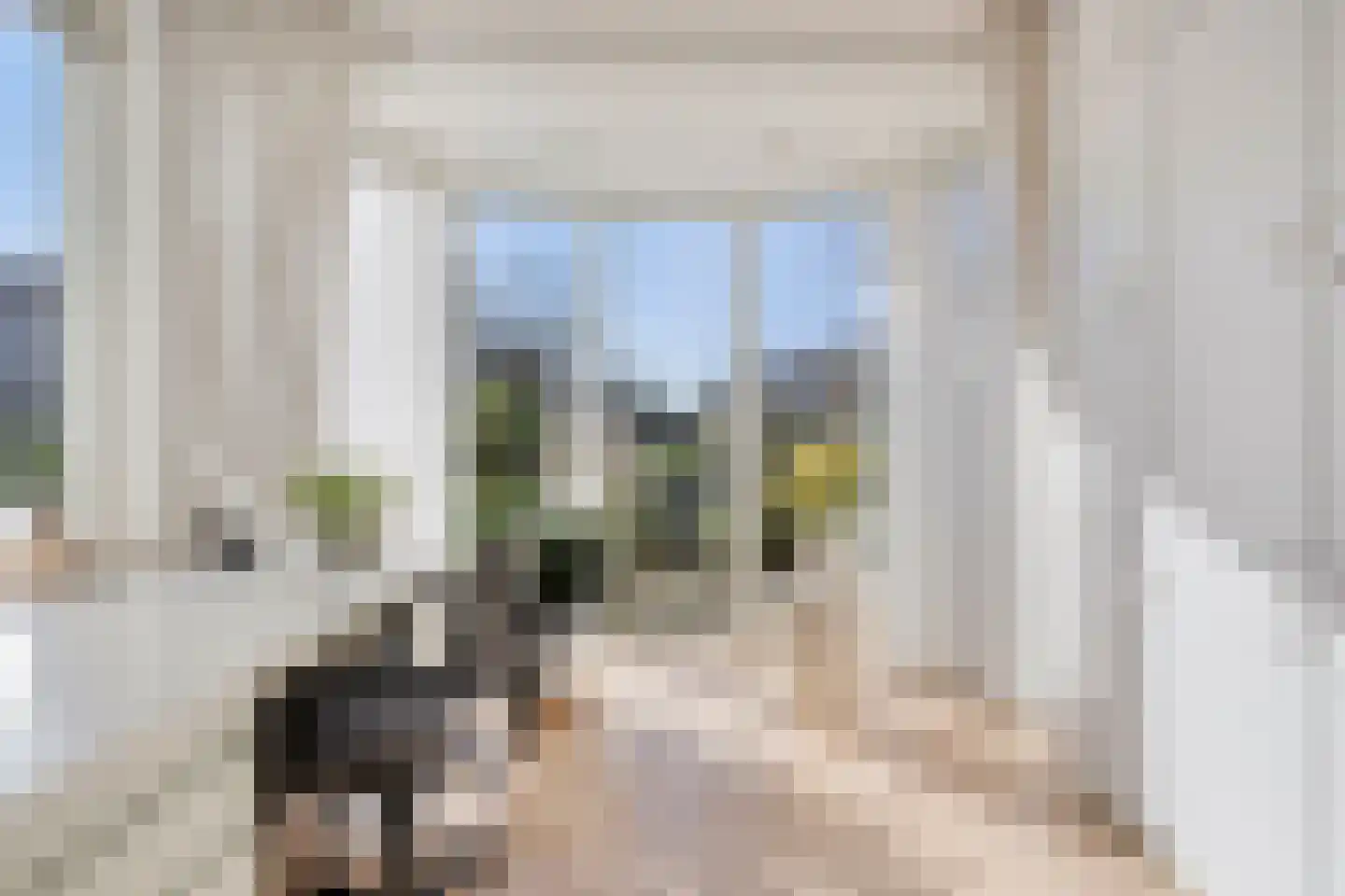 Vroegeling 8 Heemskerk thumbnail 9