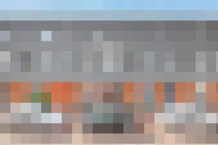 Vroegelingerf 24 Pijnacker