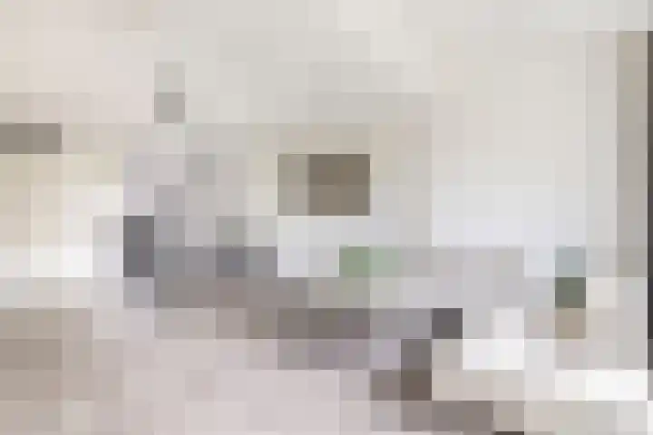 Vroegelingerf 24 Pijnacker thumbnail 15