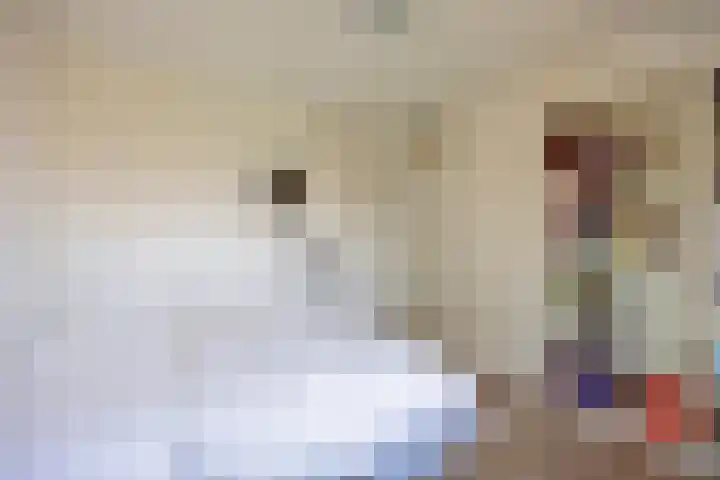 Vroegelingerf 24 Pijnacker thumbnail 17