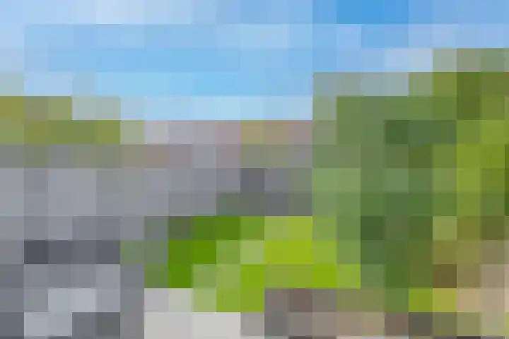 Vroegelingerf 24 Pijnacker thumbnail 17