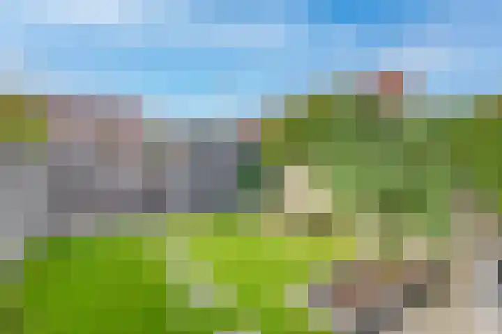 Vroegelingerf 24 Pijnacker thumbnail 18