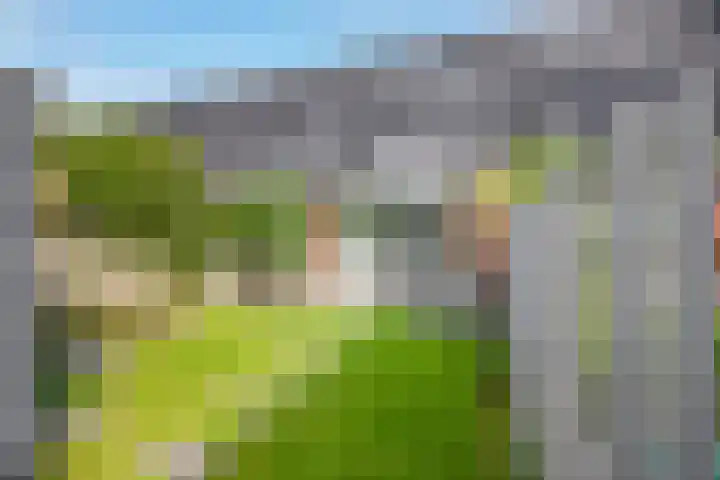 Vroegelingerf 24 Pijnacker foto 2