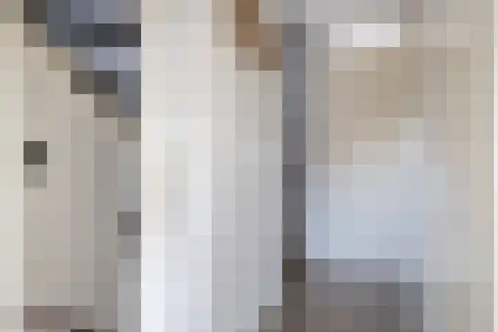 Vroegelingerf 24 Pijnacker thumbnail 21