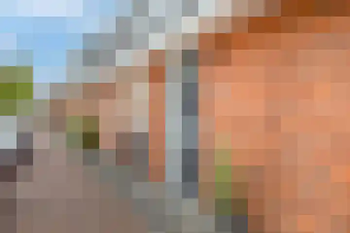 Vroegelingerf 24 Pijnacker thumbnail 38