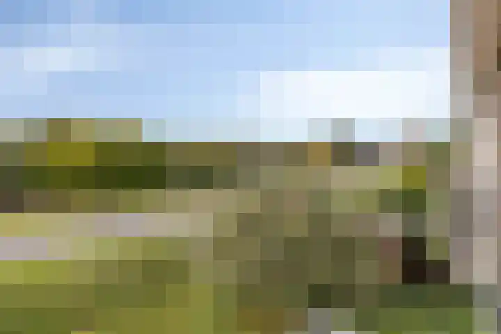 Vroegelingerf 24 Pijnacker thumbnail 48
