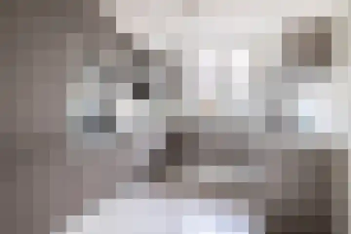 Vroegelingerf 24 Pijnacker thumbnail 8