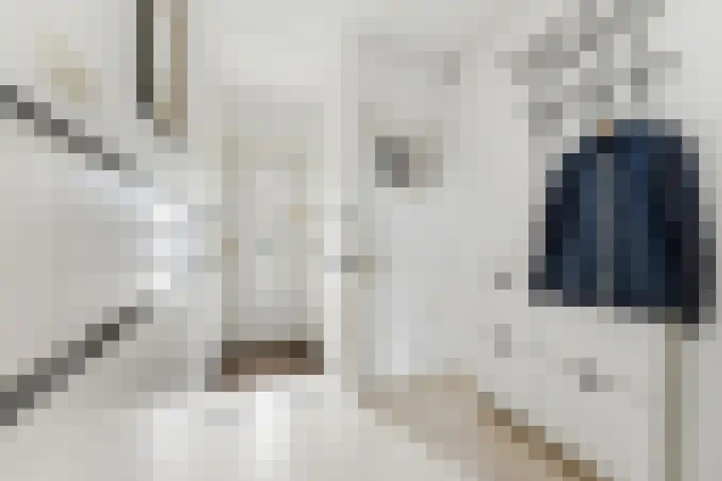 Vroegestraat 5 Alblasserdam thumbnail 17