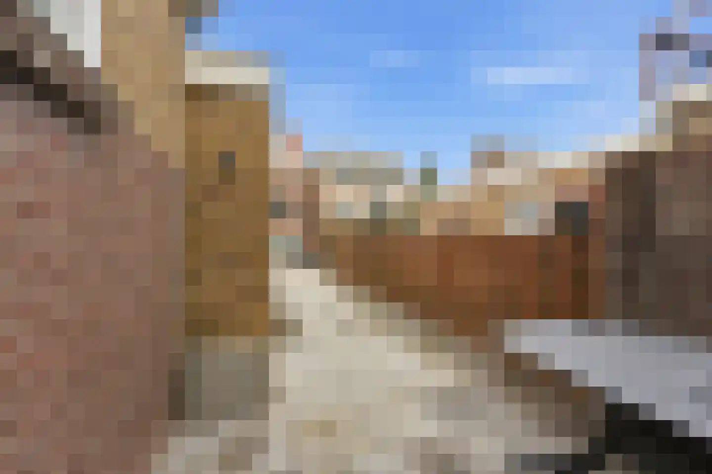 Vroegestraat 5 Alblasserdam thumbnail 33