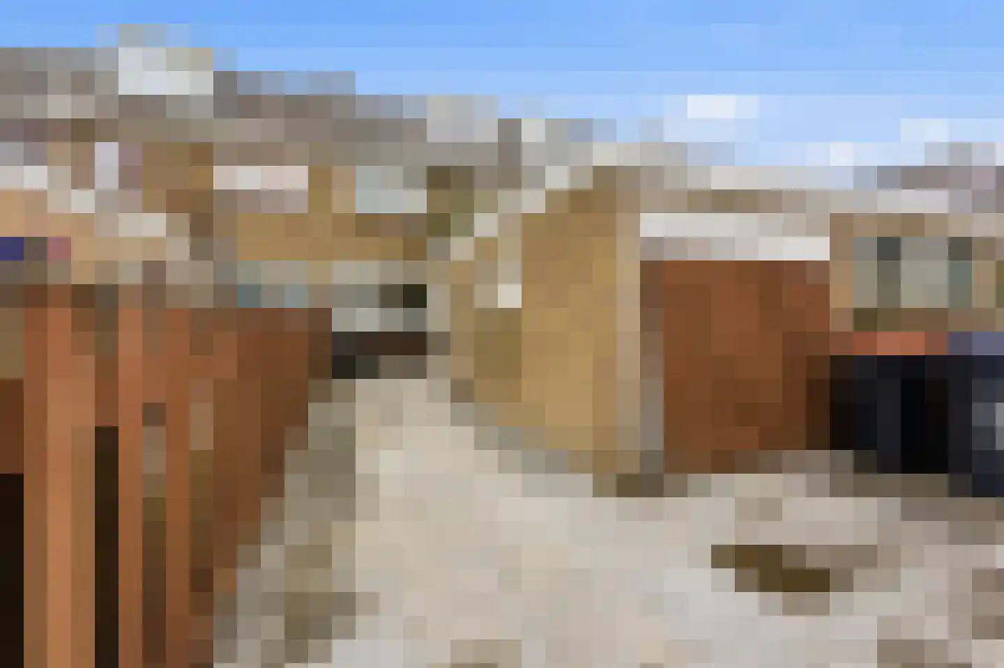 Vroegestraat 5 Alblasserdam thumbnail 36