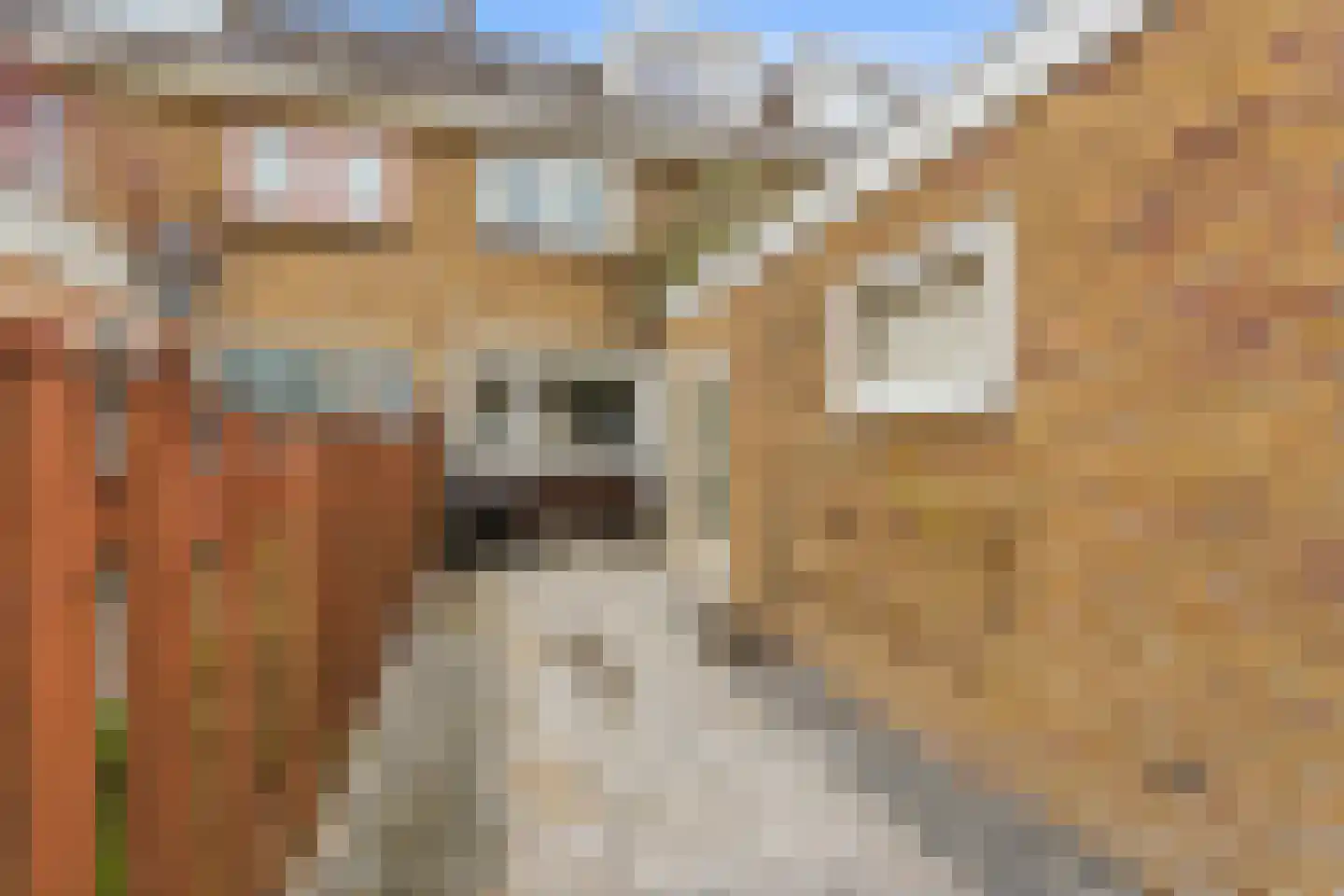 Vroegestraat 5 Alblasserdam thumbnail 38