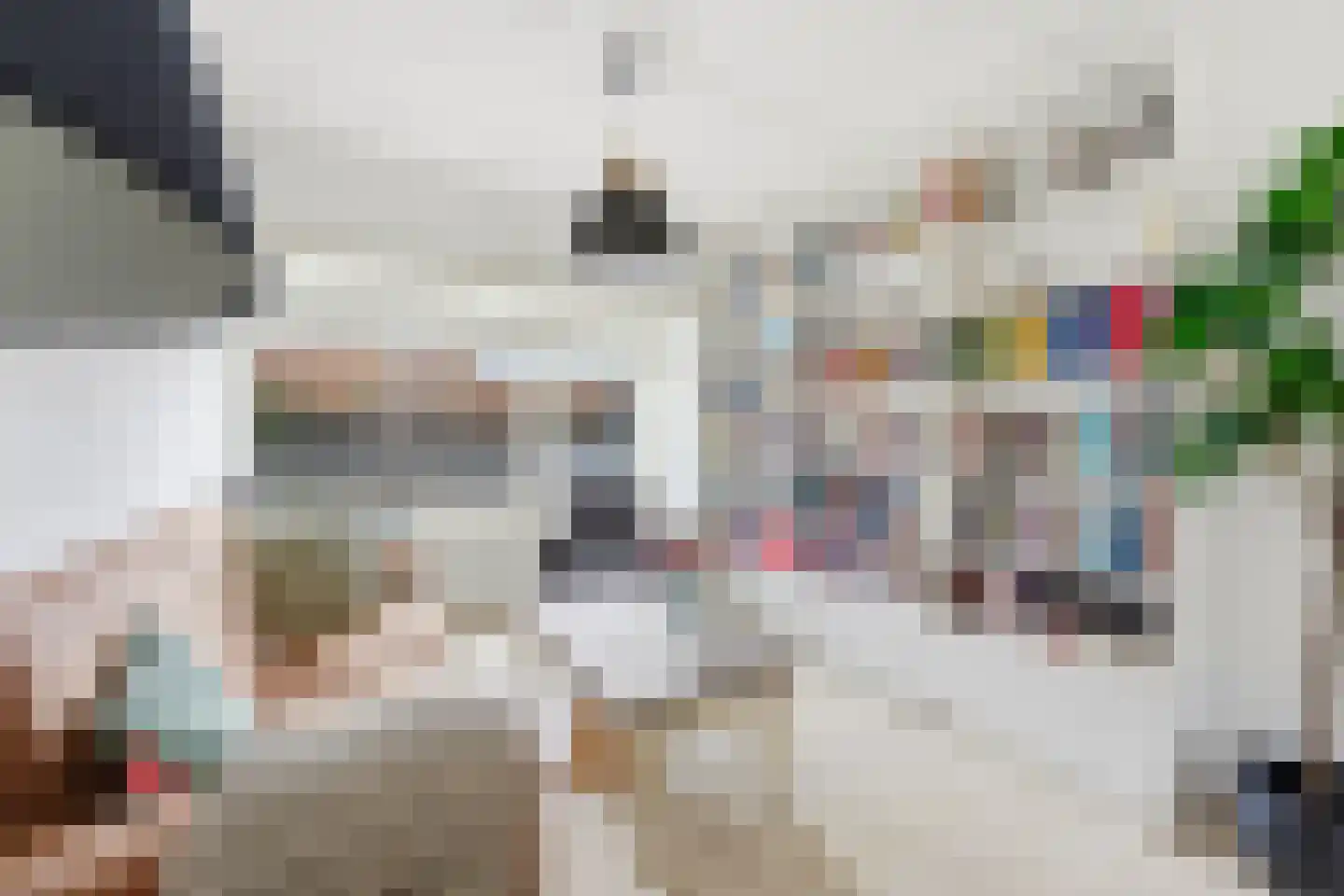 Vroegestraat 5 Alblasserdam thumbnail 5