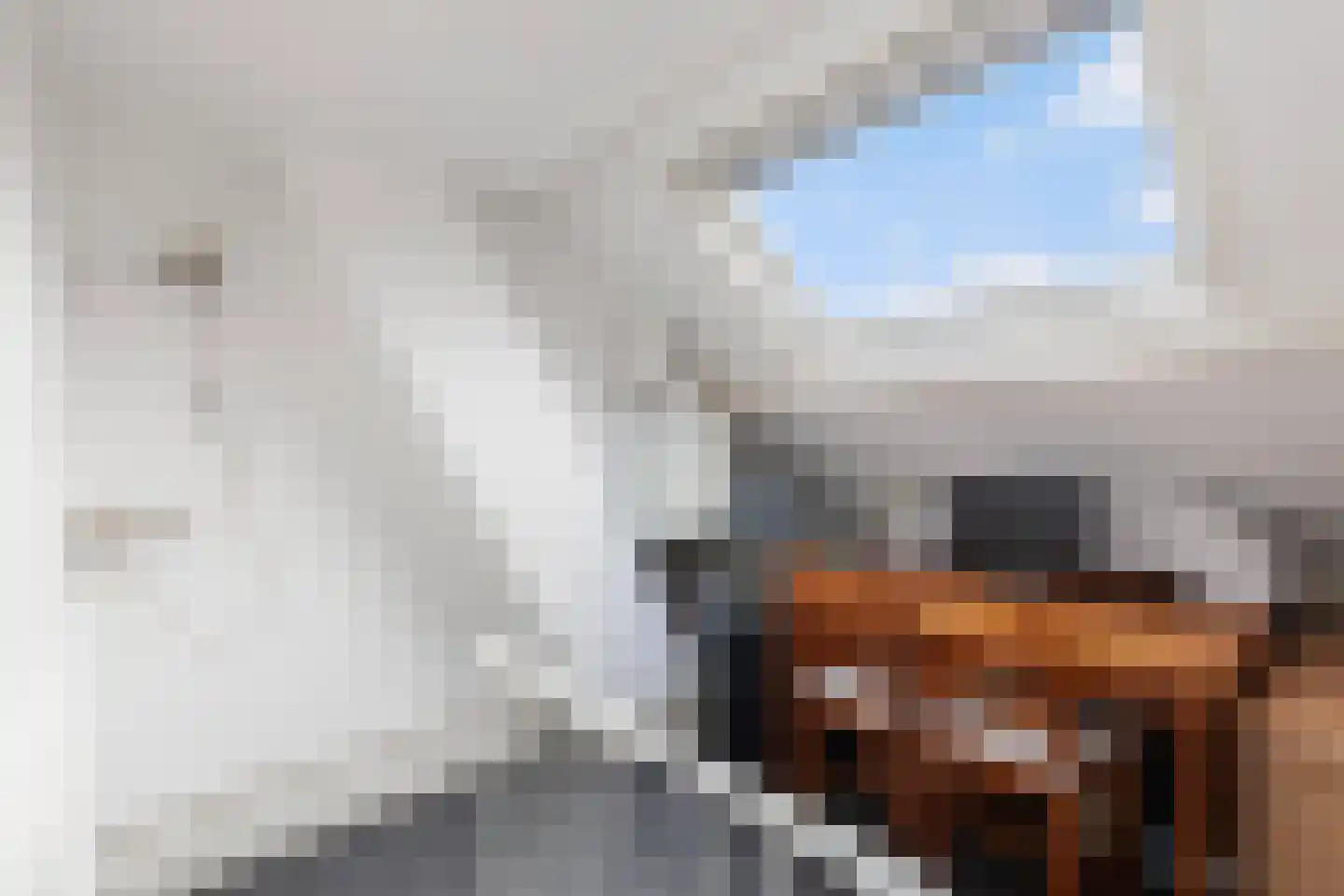 Vroegestraat 7 Alblasserdam thumbnail 23