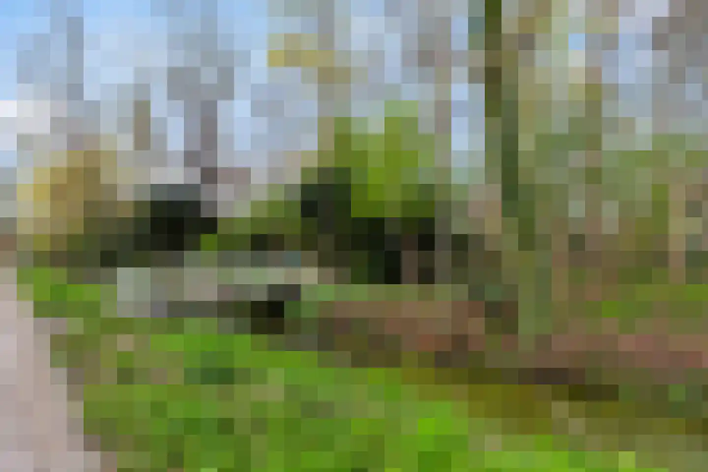 Vroegestraat 7 Alblasserdam thumbnail 34