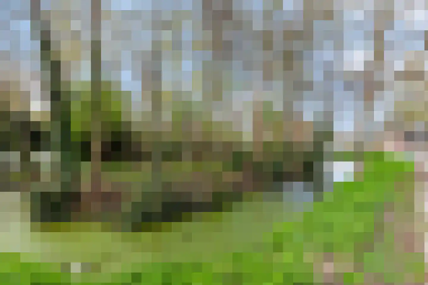 Vroegestraat 7 Alblasserdam thumbnail 35