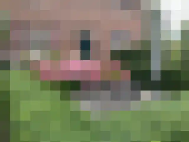 Vroelenstraat 3 A Noorbeek thumbnail 21