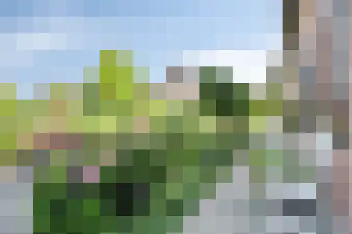 Vroelenstraat 3 A Noorbeek thumbnail 22