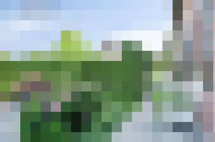 Vroelenstraat 3 A Noorbeek thumbnail 23