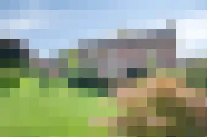 Vroelenstraat 3 A Noorbeek thumbnail 26