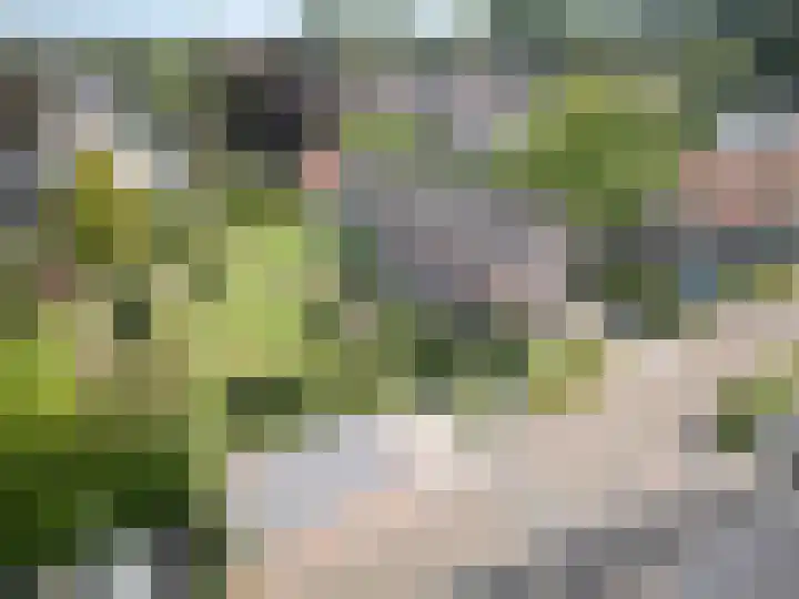 Vroelenstraat 3 A Noorbeek thumbnail 29