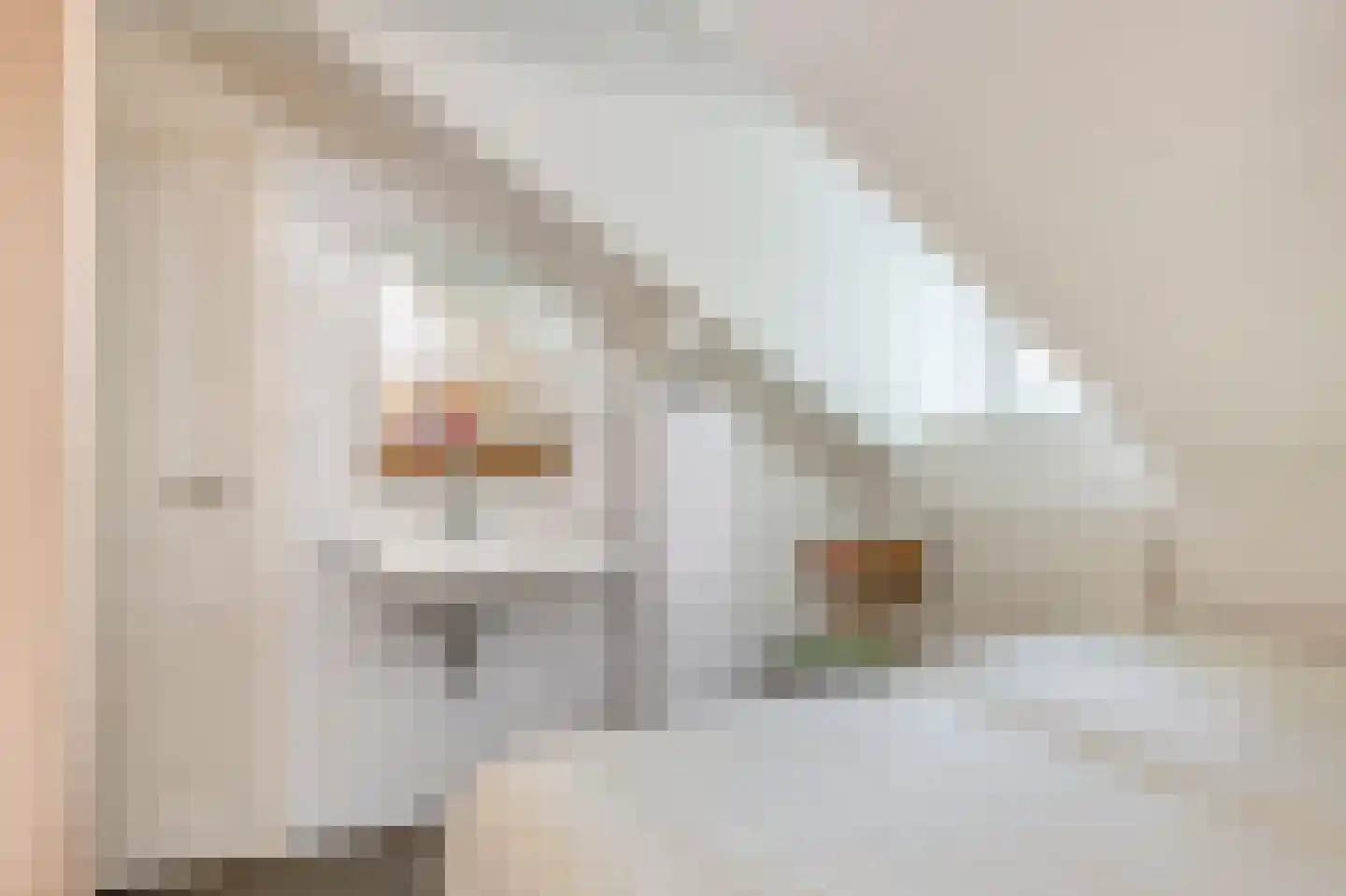 Vroelenstraat 3 Noorbeek thumbnail 20
