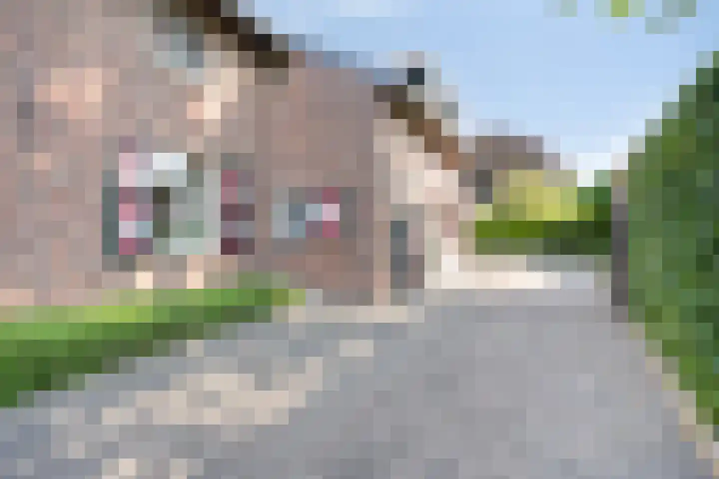 Vroelenstraat 3 Noorbeek foto 3