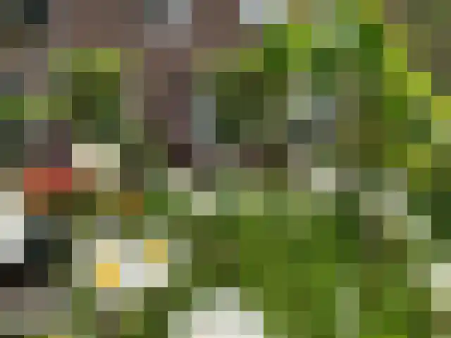 Vroelenstraat 3 Noorbeek thumbnail 40