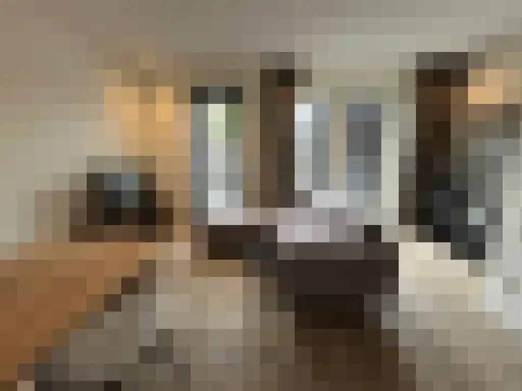 Vroenhof 1 Eindhoven thumbnail 4