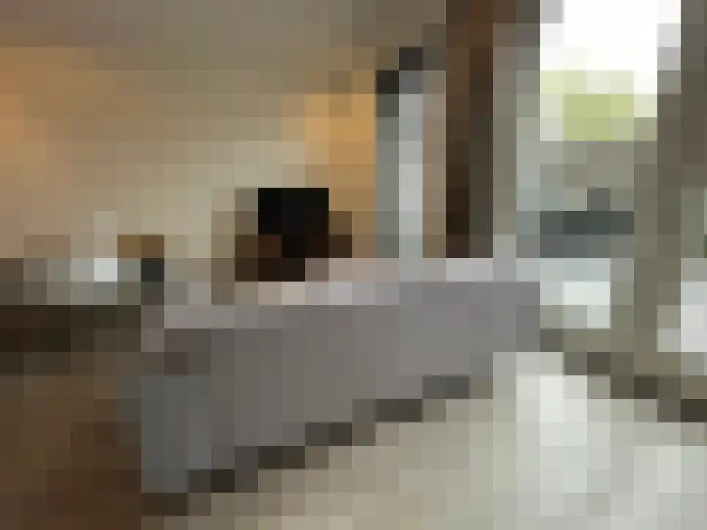 Vroenhof 1 Eindhoven thumbnail 6