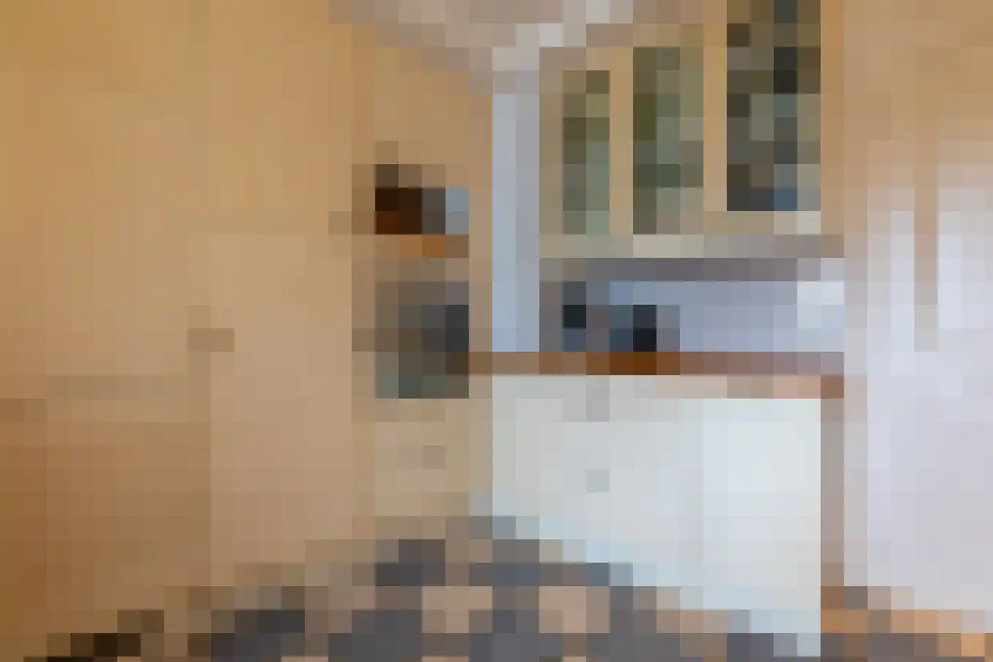 Vroenhof 111 Valkenburg thumbnail 17