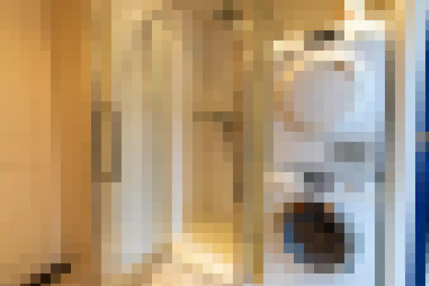 Vroenhof 111 Valkenburg thumbnail 19