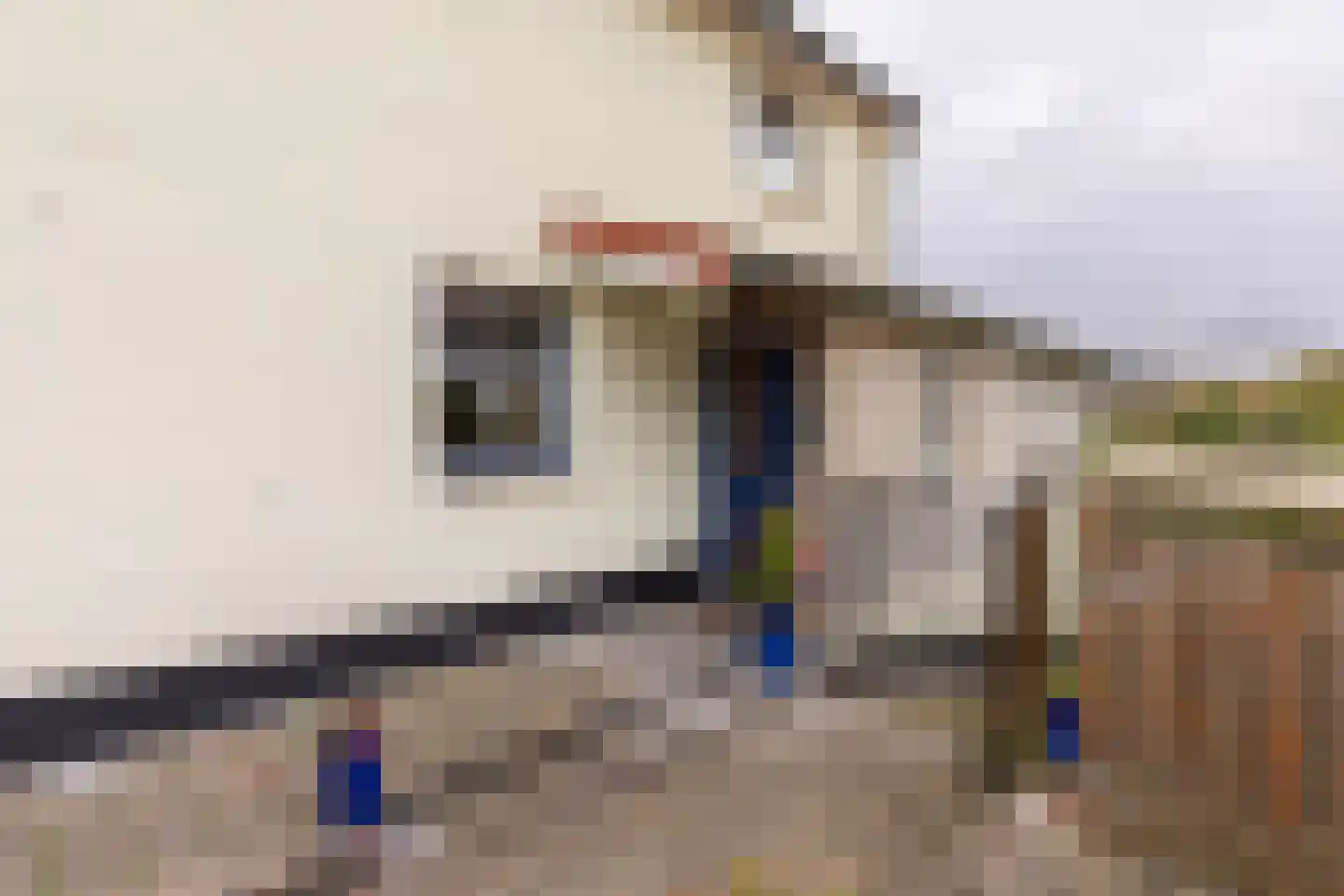 Vroenhof 111 Valkenburg thumbnail 33