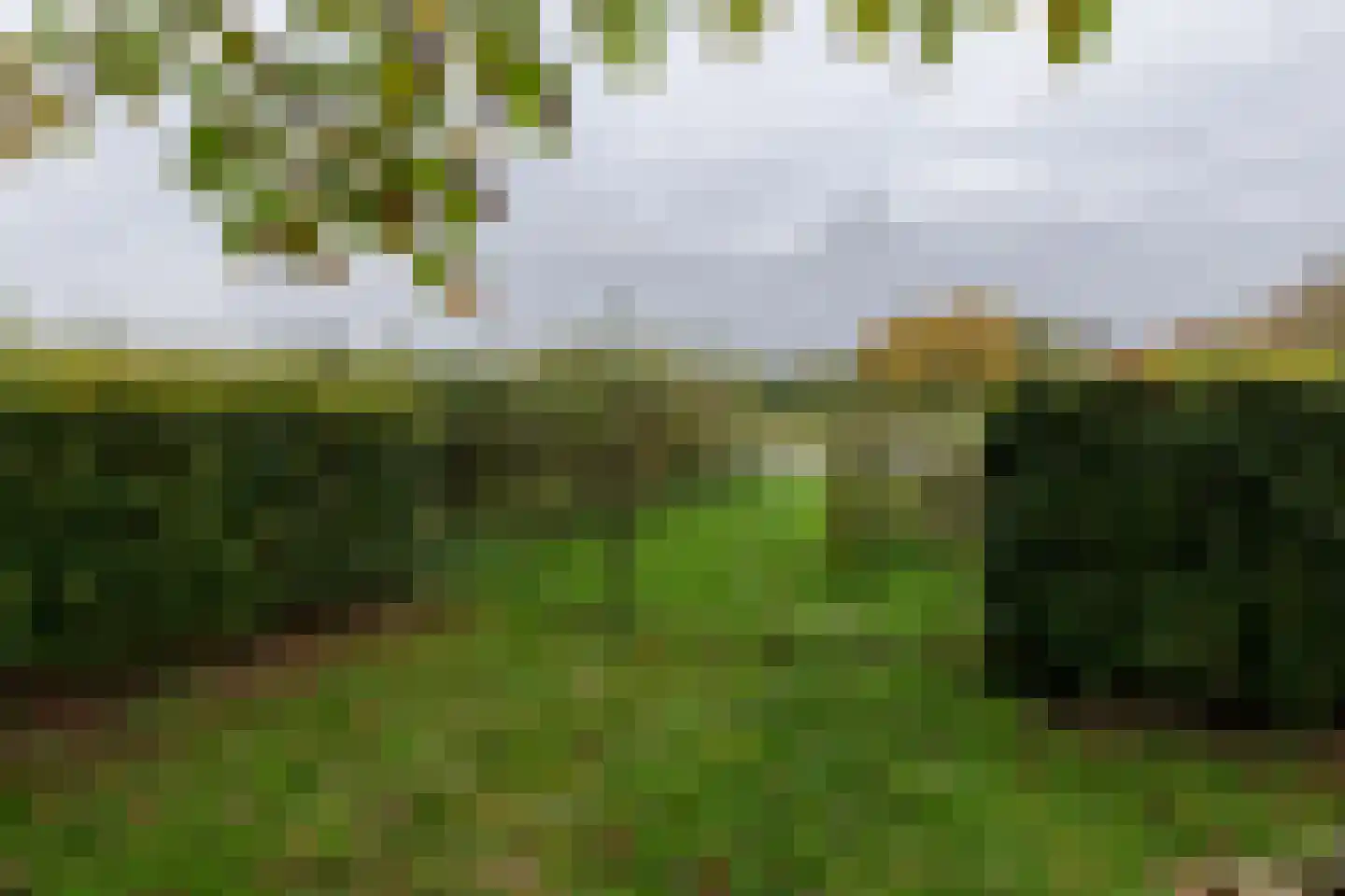 Vroenhof 111 Valkenburg thumbnail 39