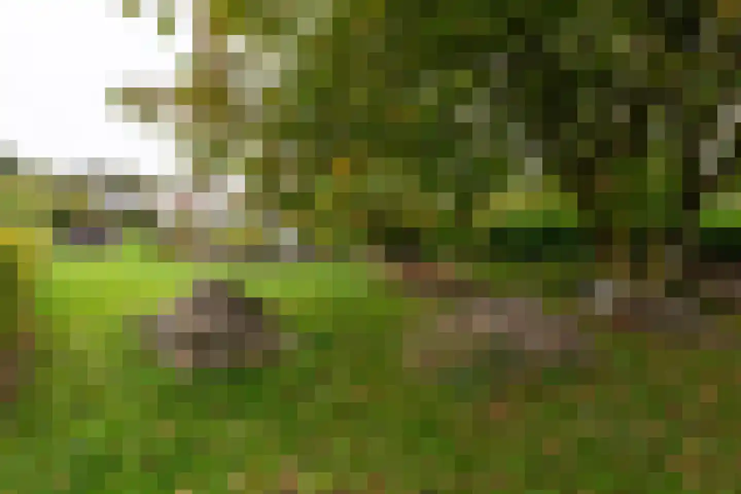 Vroenhof 111 Valkenburg thumbnail 40
