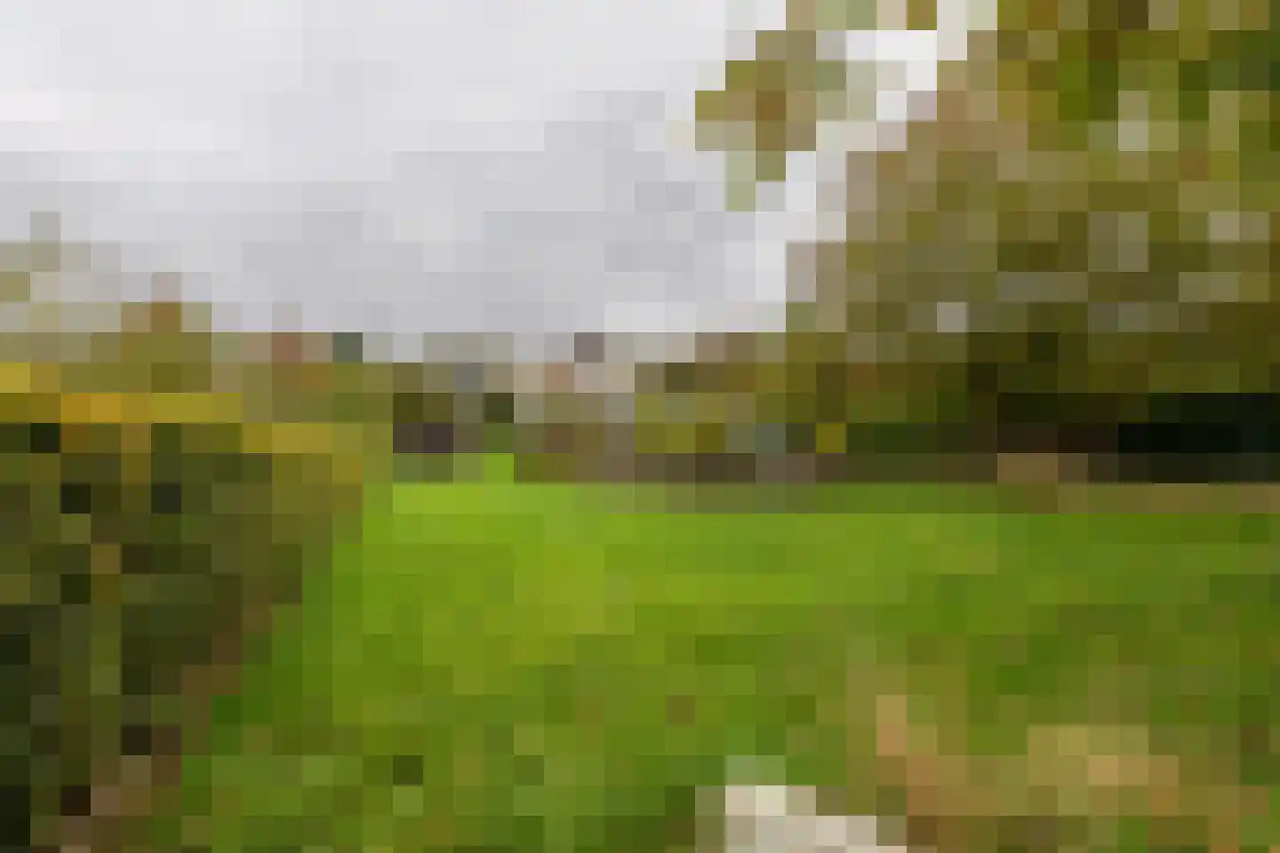 Vroenhof 111 Valkenburg thumbnail 41