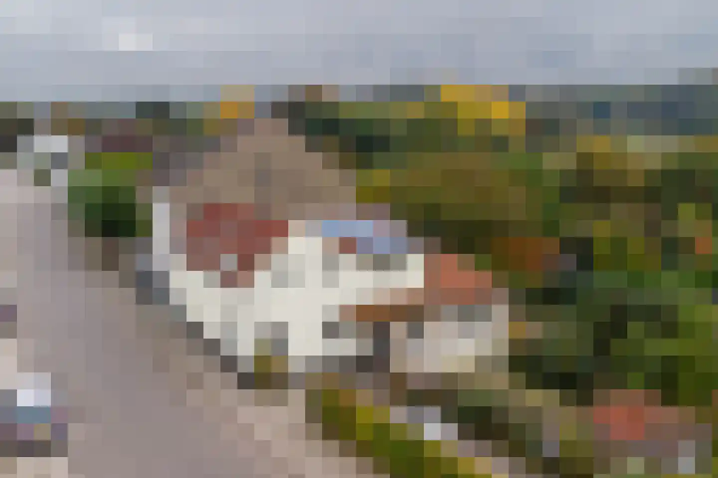 Vroenhof 111 Valkenburg thumbnail 42
